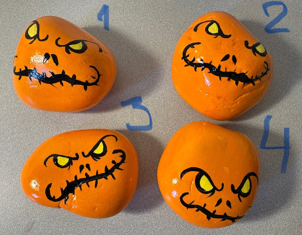 Rocks, Decorated Hand Painted Pumpkins
