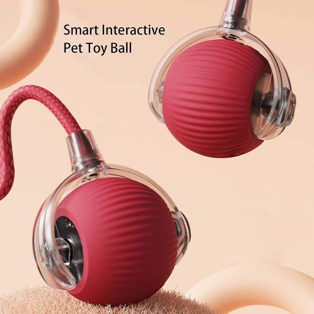 rolling ball for dogs
