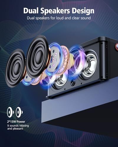 Karaoke Machine, Portable Bluetooth Speaker with 2 Wireless Microphones