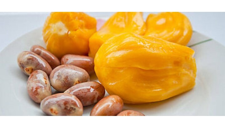 Oraganic Fresh JackFruit Seeds Tropical Worlds Largest Tropical Fruit seed