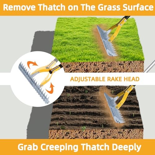 Thatch Rake 15 Inch Wide Efficient Dethatcher Rake for Cleaning Dead Grass,