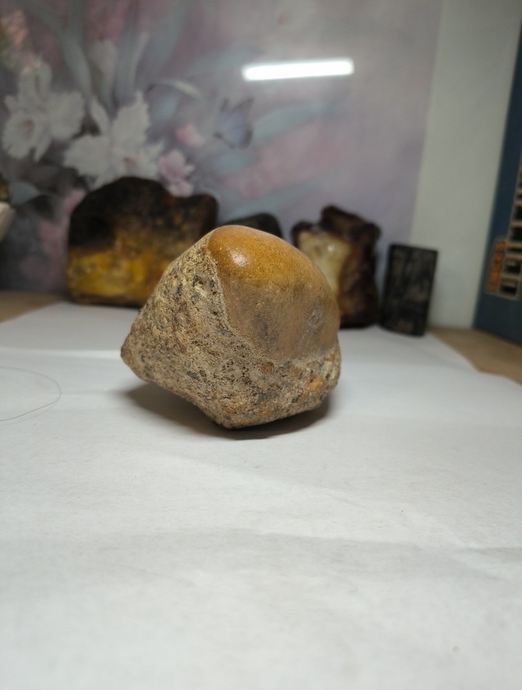 Egg Fossil possibly??? makes an interesting display piece