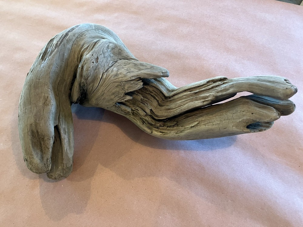 Beautiful Driftwood