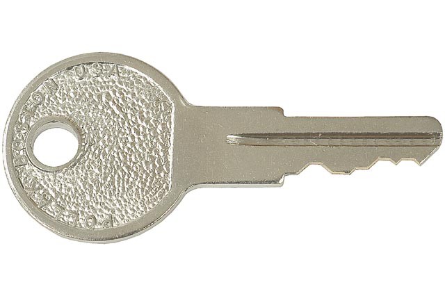 Two Keys On Ring- Code PK556( Pack of 1)