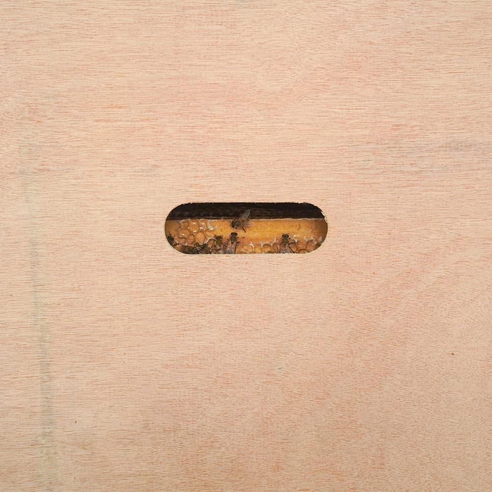 Beehive Inner Cover for 10 Frame Bee Hive 2 Pcs