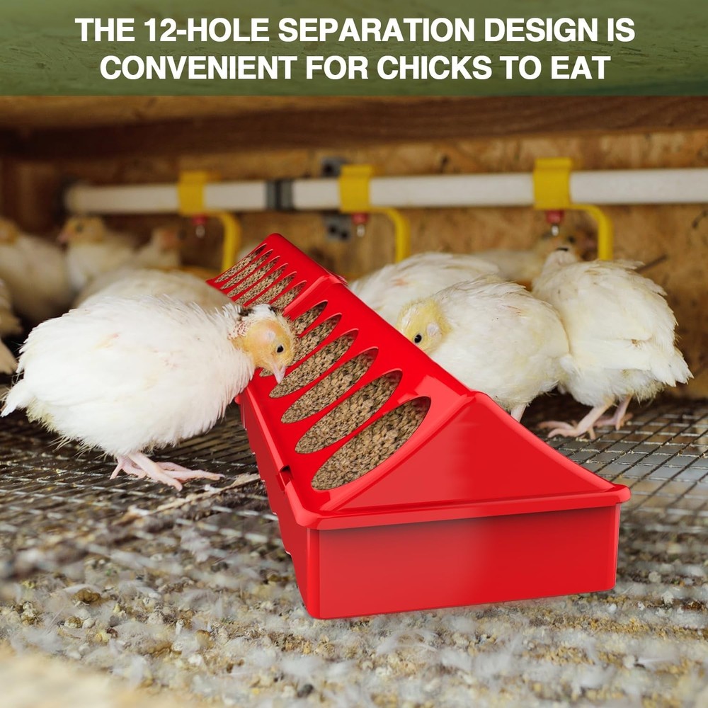 All-in-One Chick Brooder Kit with 75W Adjustable Heat Lamp, Spill-Proof Feede...