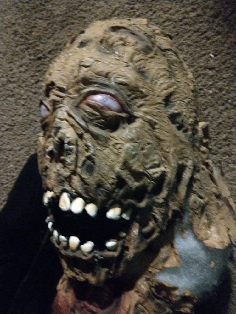Zombie Movie Prop Face And Head.