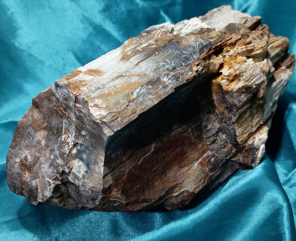 Opalized Petrified Wood Display Specimen WA State 4 LBS 9 OZ
