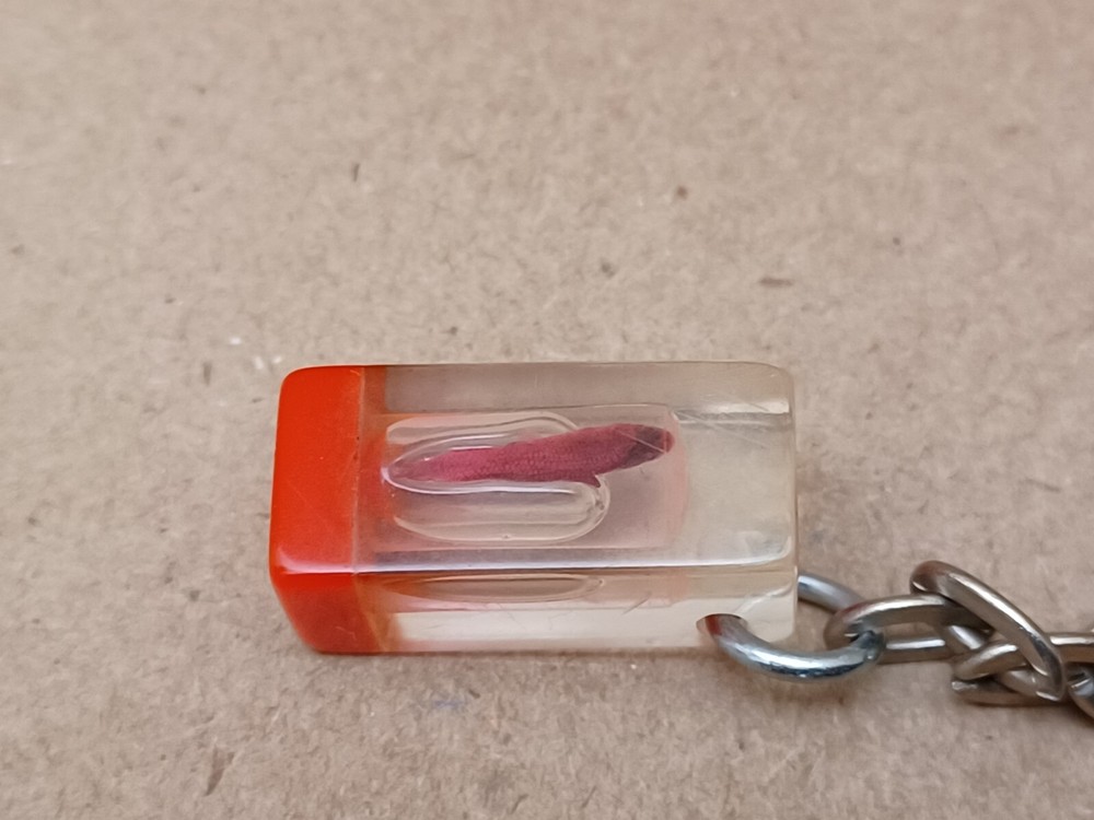 Fish Specimen Acrylic Encased Keychain