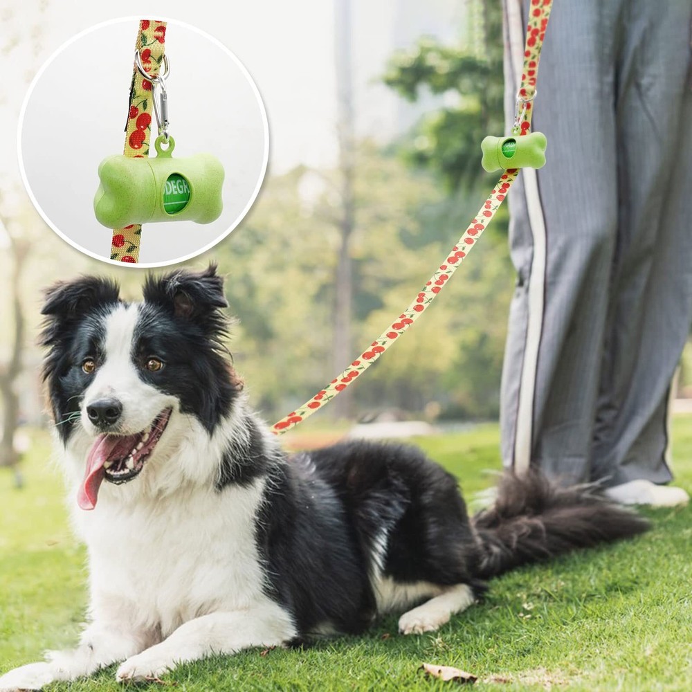 3 Pack Fruit Design Nylon Dog Leashes Strong & Durable Basic Dog Leash with E...