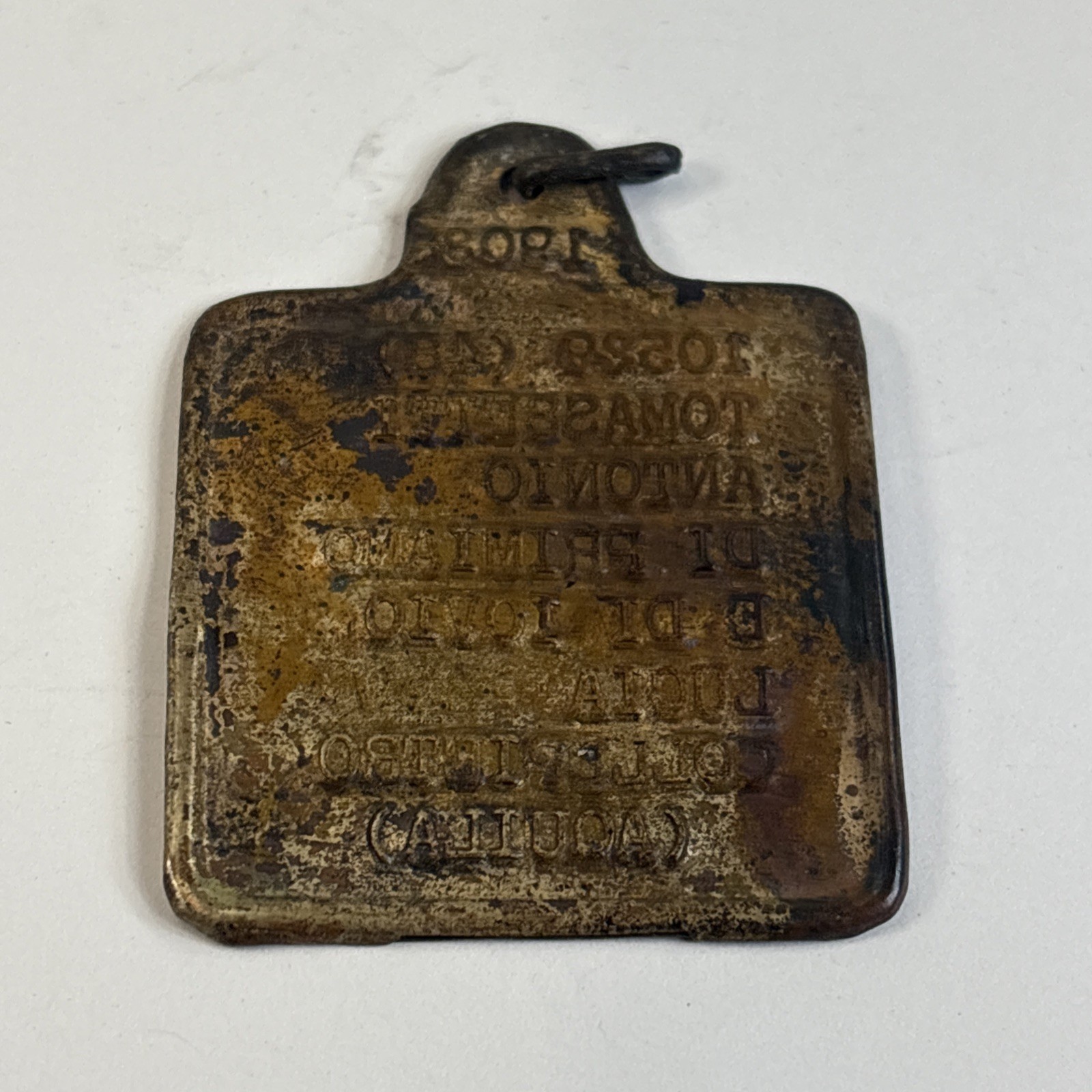 WW1 Italian Army dog ID Tag 1908 Tomassetti Antonio Collepietro (Aquila) 49B85