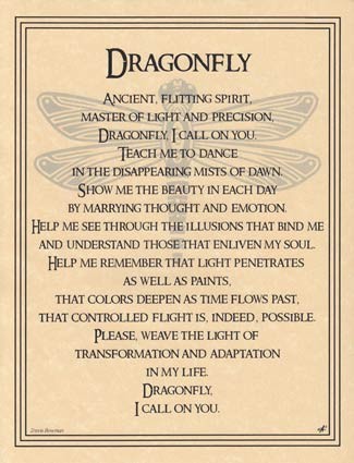 Dragonfly poster