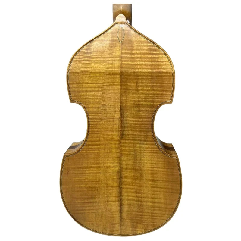 Special Offer! Song Maestro 6 string 27" viola da gamba ,carving scroll