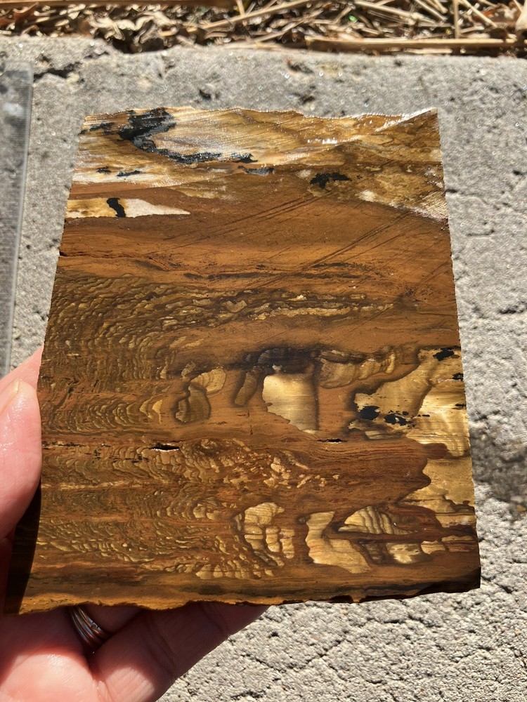 Biggs Jasper Slab (Oregon)
