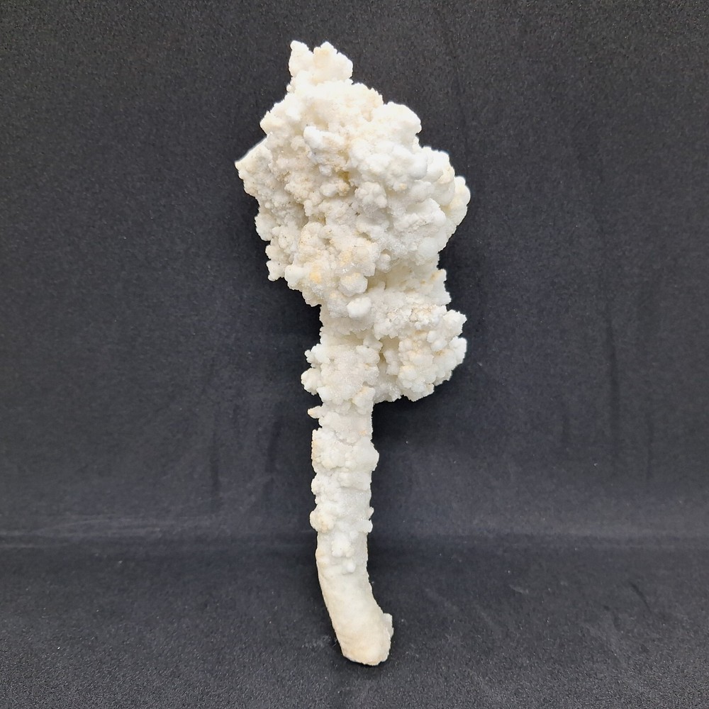 Aragonite