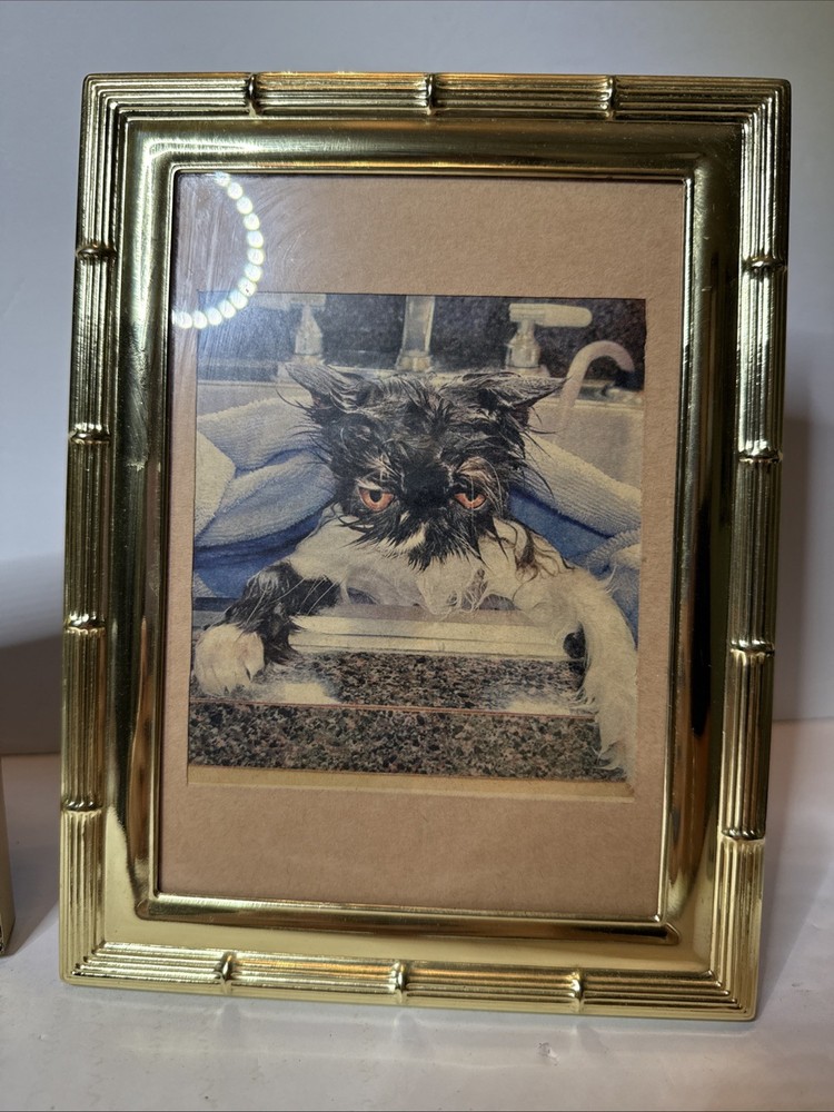 Pair Of Gold Tone Picture Frames