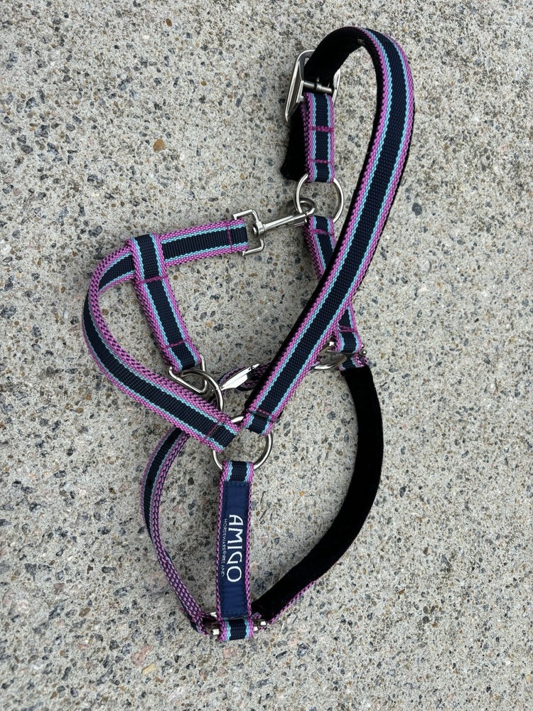 Pony Size Amigo Halter