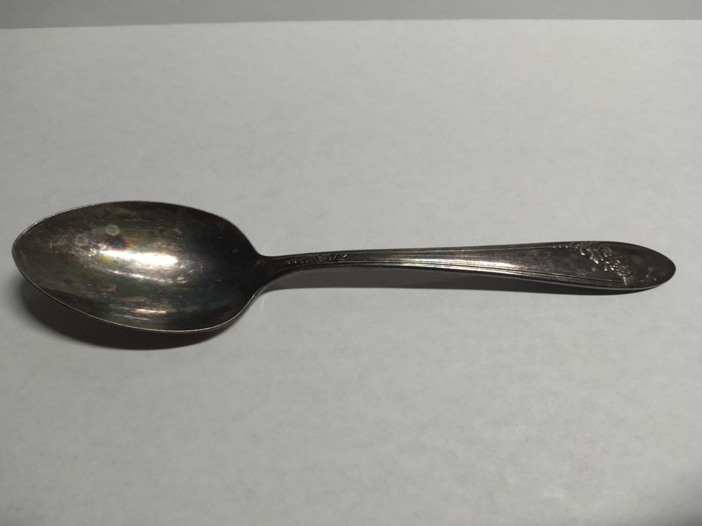 Onedia Silverplate Spoon - Floral Motif