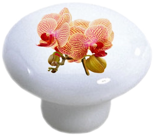 Colorful Orchids Cabinet DRAWER Pull KNOB Ceramic