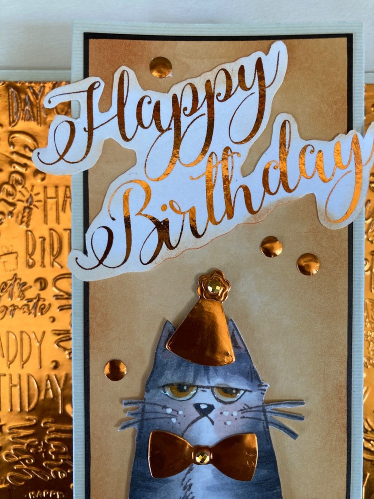BIRTHDAY - Katzelkraft Grumpy CAT - handmade POP-UP DISPLAY card by DEE