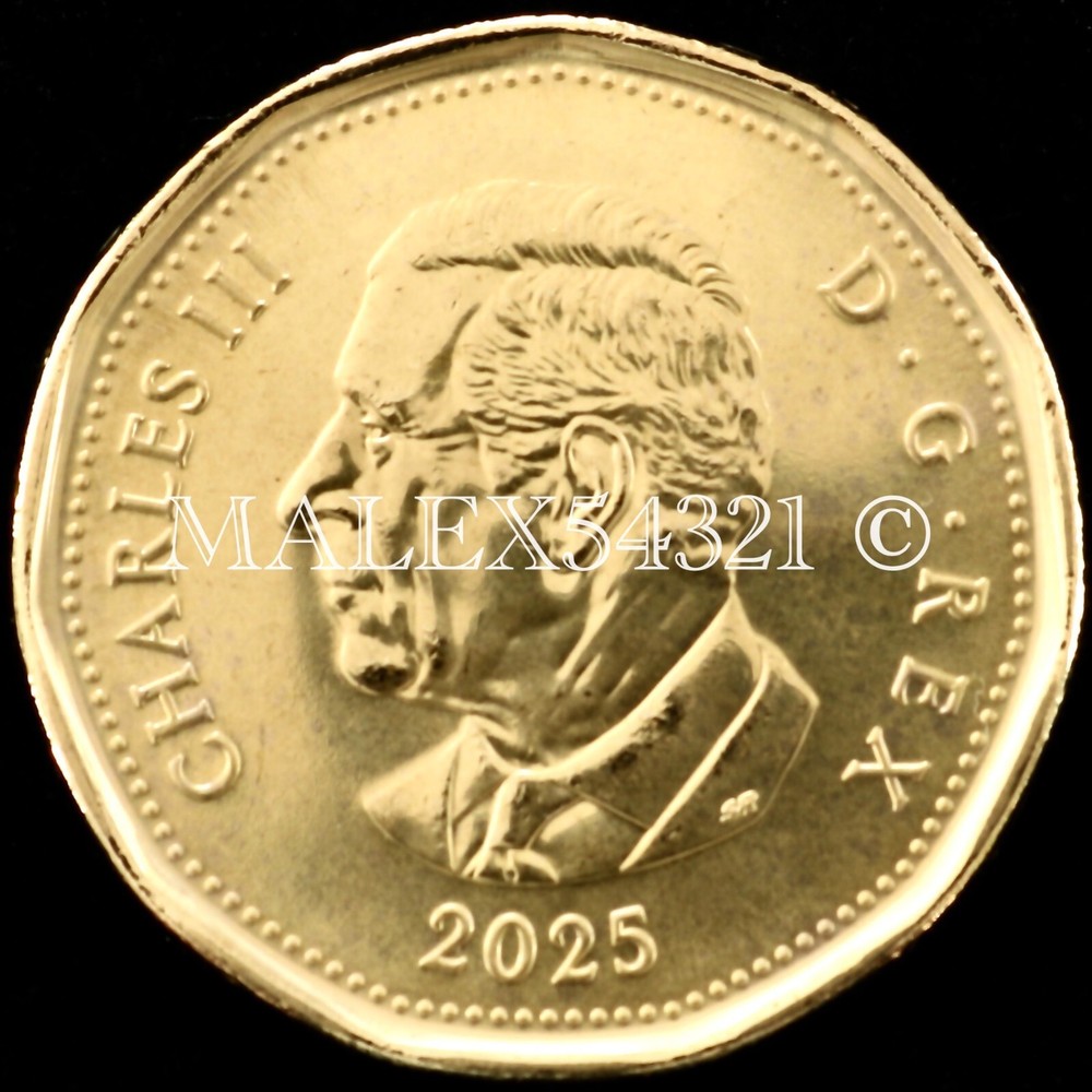 🇨🇦​ CANADA 2025 DOLLAR UNCIRCULATED FROM MINT ROLL