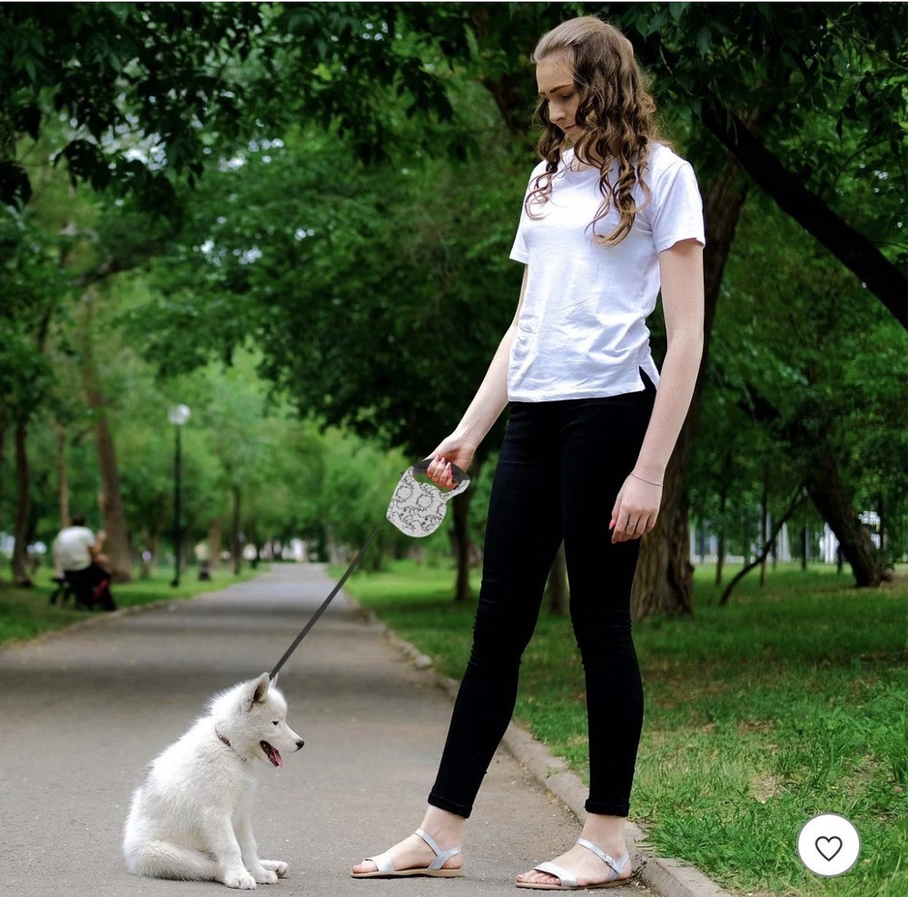 dog leash retractable blue and white geometric pattern with a trigger