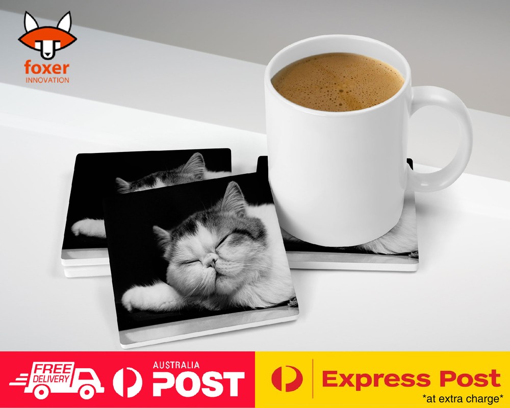 COASTER COFFEE DRINKING MAT|EXOTIC SHORTHAIR CAT 1