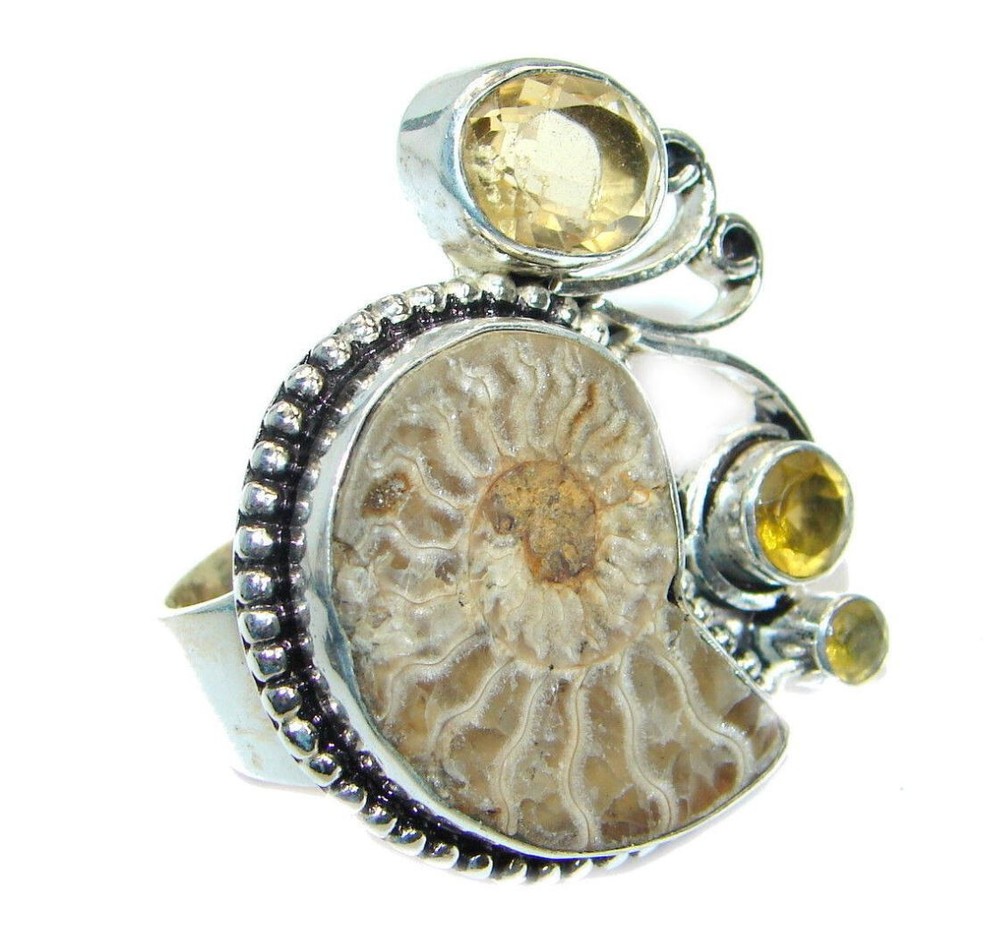 Ammonite Fossil Ring size 7 3/4