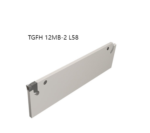 1PCS  ORIGINAL  INSERTS     ‎‎‎‎‎‎‎TGFH 12MB-2 L58