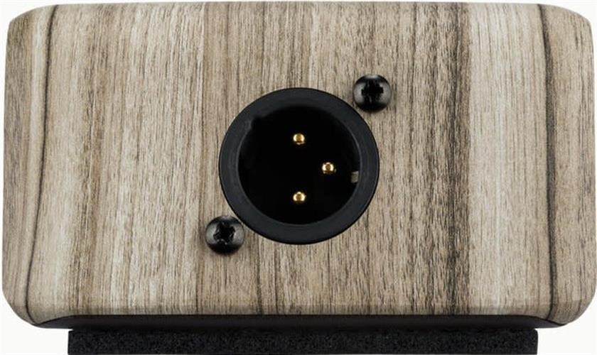 LR Baggs Align Series Active DI Pedal