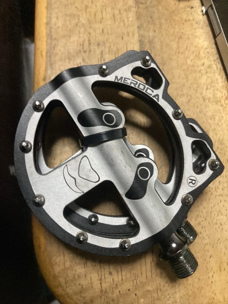 Panda pedal double bearing