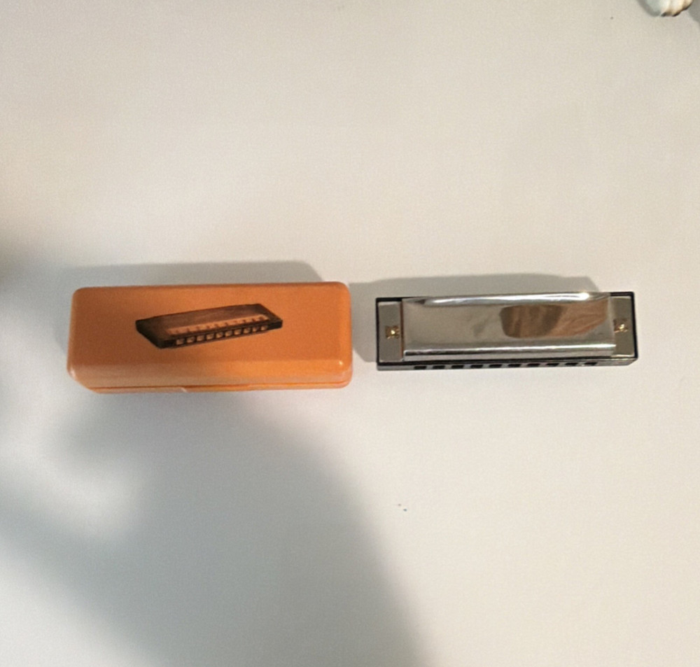 Diatonic Harmonica Silver Metal Body with Orange Case
