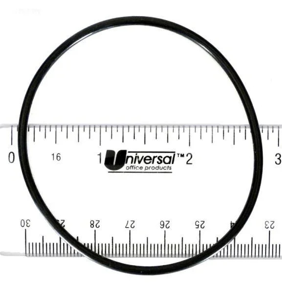 Pentair O-Ring, Bulkhead (a)