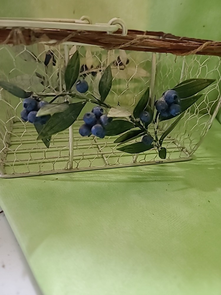 Blueberry Wire Basket
