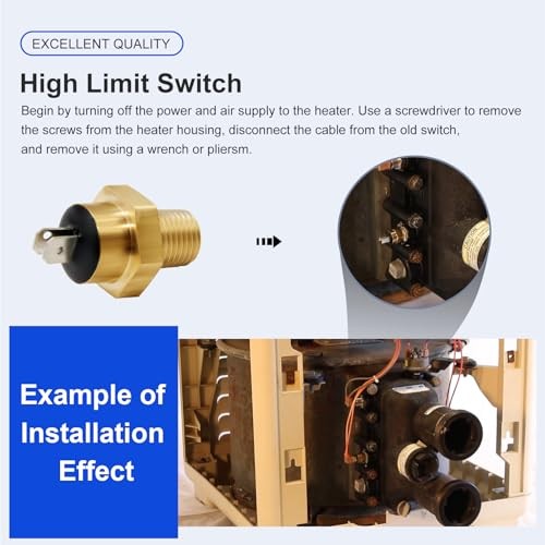 42001-0063S High Limit Switch Replacement for Pentair Mastertemp Sta-Rite Max