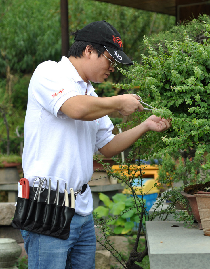 Japanese Bonsai Tools Roll Bag Canvas Leather Bonsai Tool Kit Set Storage Case