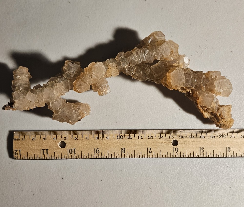 Halite On Wood Fluorescent Mineral Specimen