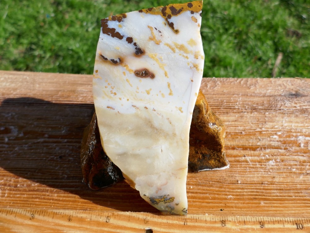 TCR Polka Dot Agate Treasure *Rough Slab 122grams  – Dendritic patterns | Oregon