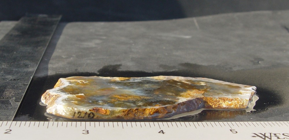 Graveyard Point Plume Agate Lapidary Slab 1210