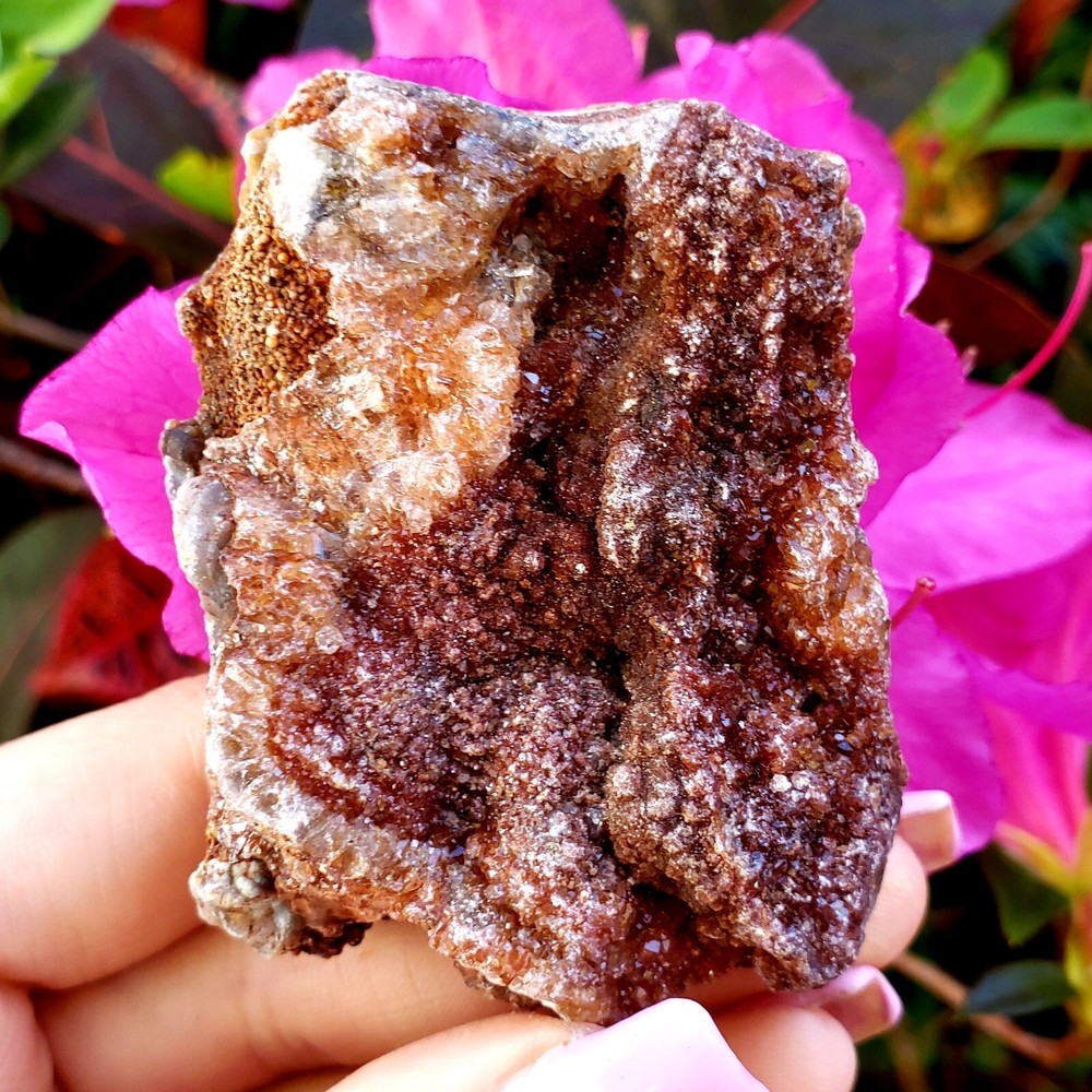 Fossilized Agate shell Cluster druzy natural crystal healing gemstone - #13A