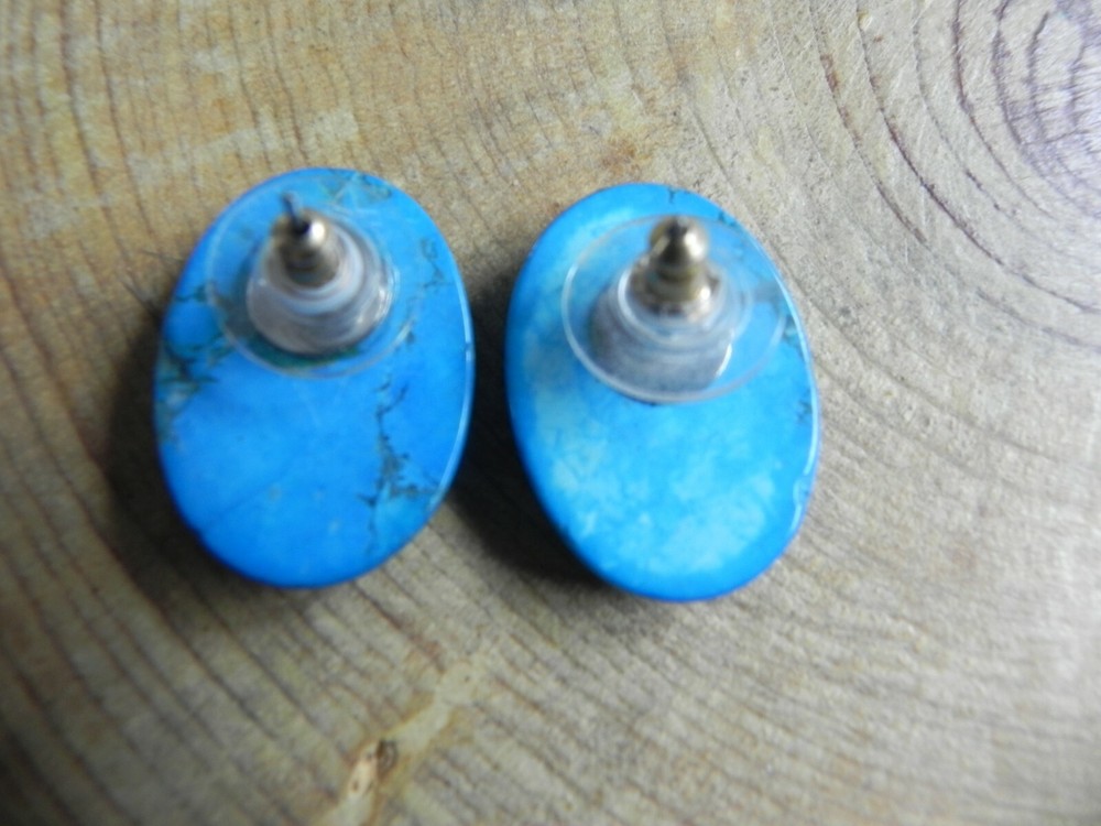 Turquoise Howlite Oval shaped Earrings
