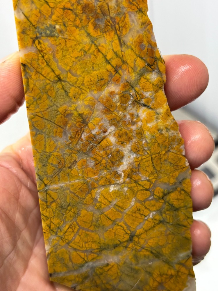 Brecciated Jasper Slab Cabbing Lapidary Combo Ship Available