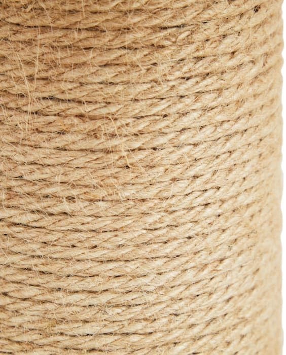 EveryYay by Petco Toadstool Scratch Post for Cats