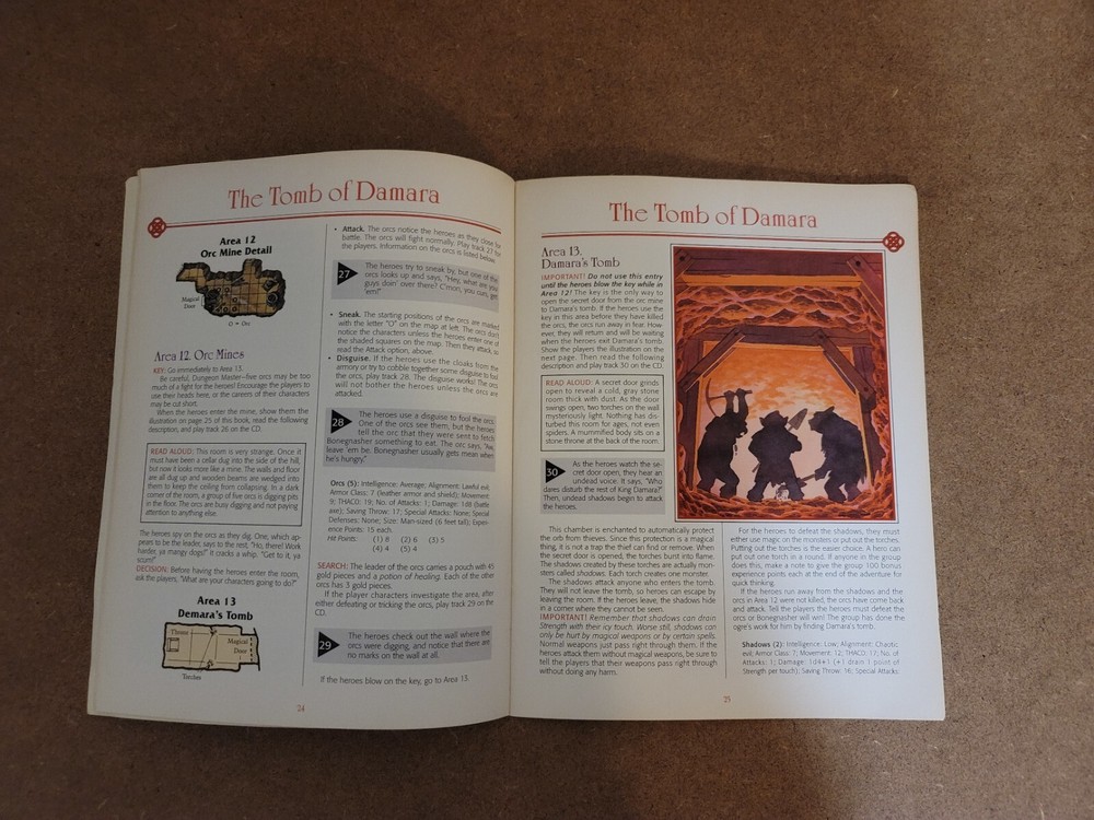 Advanced Dungeons & Dragons: Introduction To Dungeon Masters Guide (1995)