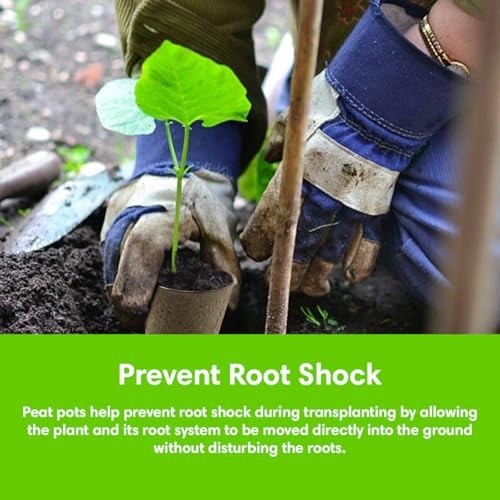 Seedling Starter Kit Germination Grow Cups and Soil (0 Pack) Biodegradable 1