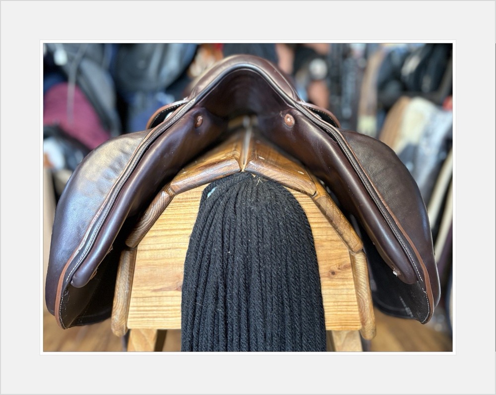 Arion C2 Event jump saddle. 17” MW