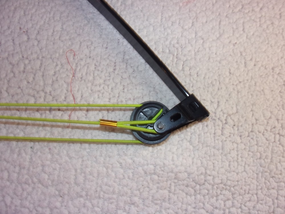 Bear Apprentice Youth Compound Bow