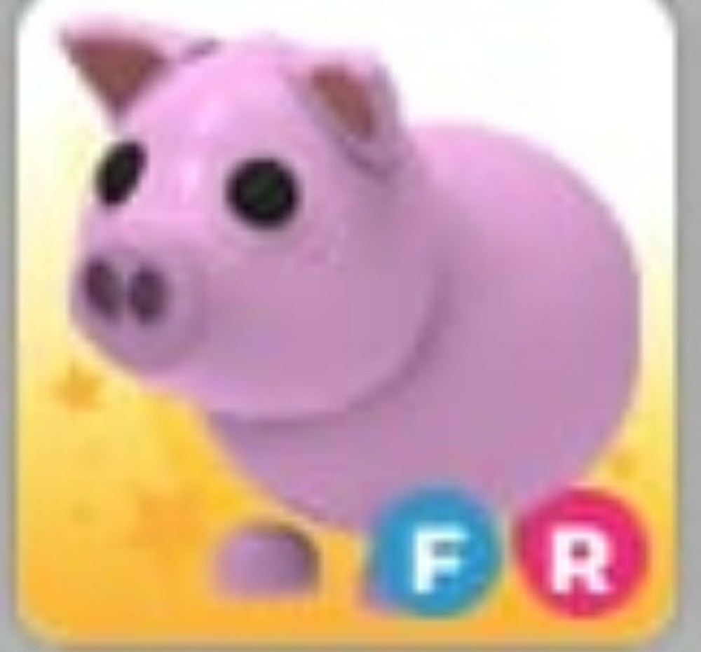 Pig | Adopt Now