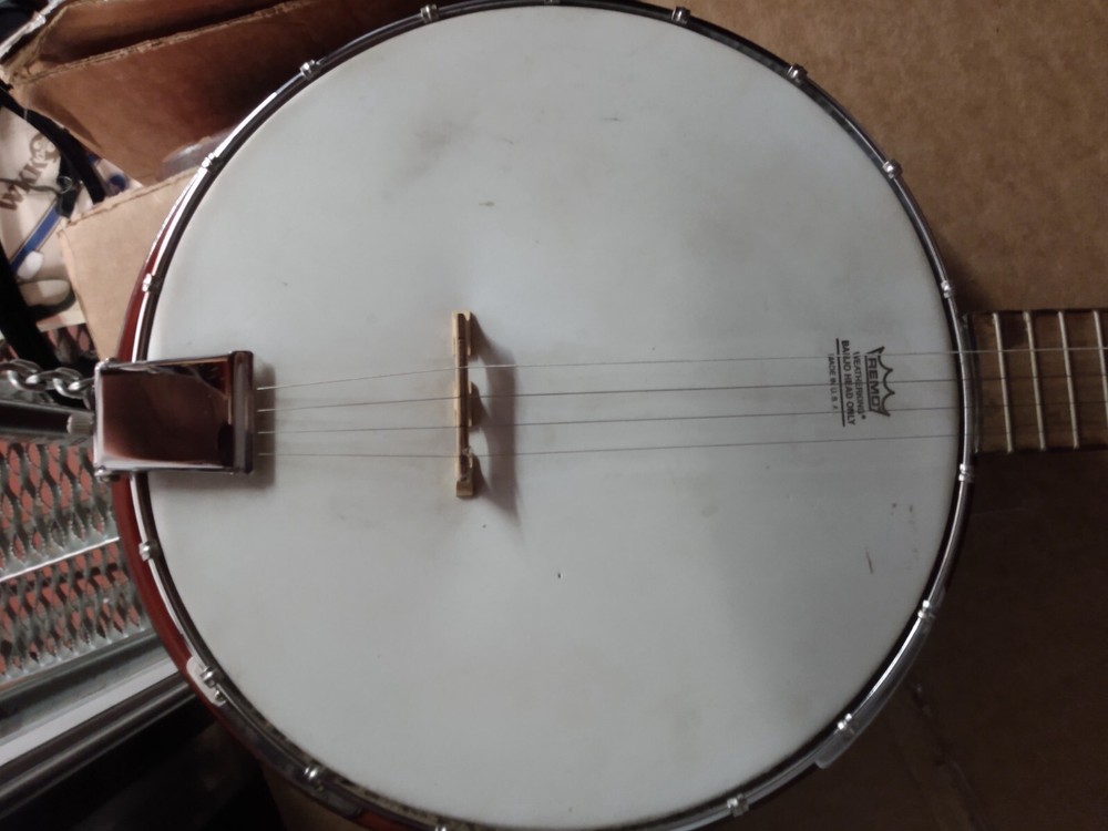 Banjo Danville Remo 5 Strings