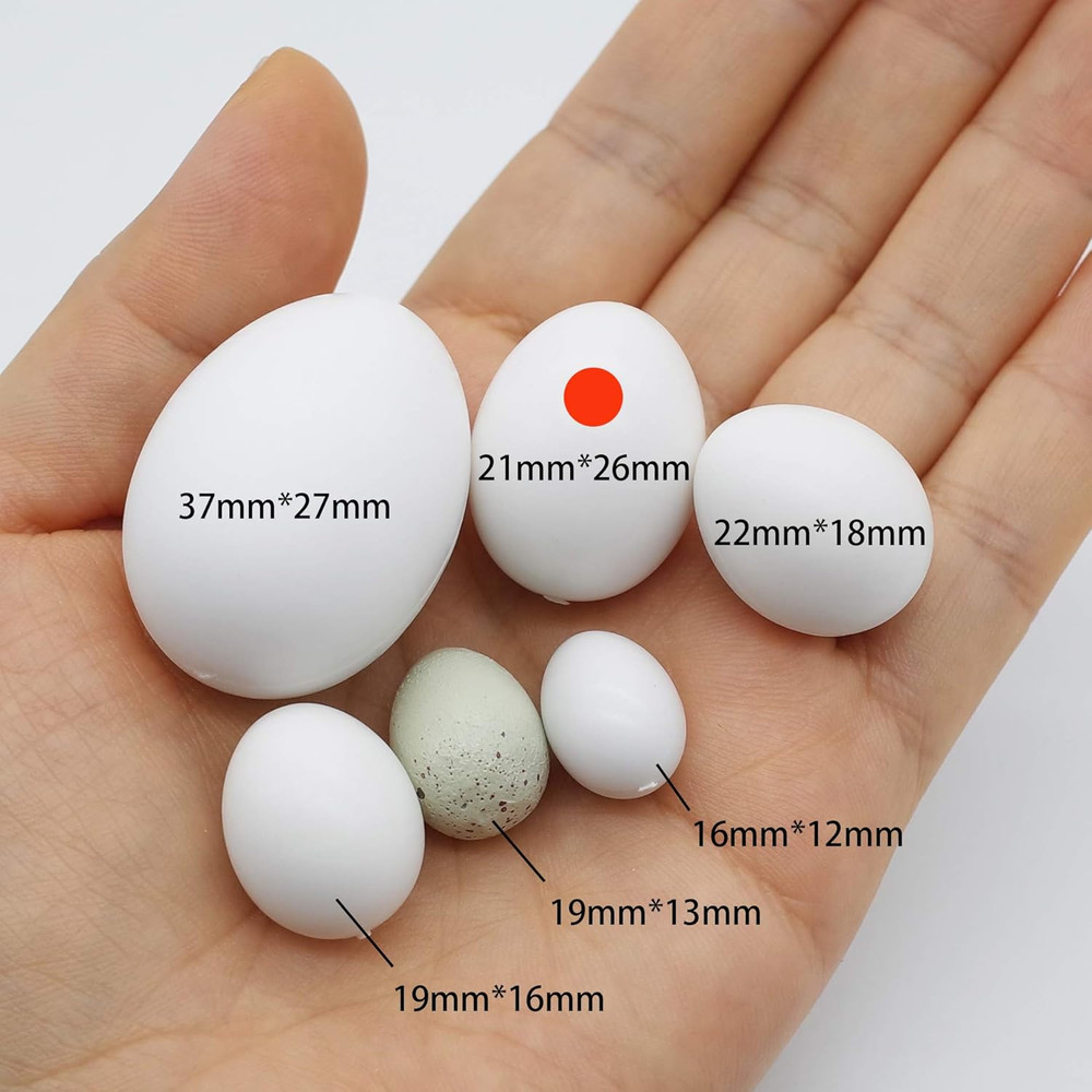 8 Pcs Solid Parrot Plastic Eggs Hatching Eggs Green Cheek, Lorikeet&Ringneck Dov